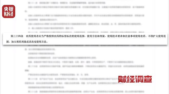 央视揭菜商使用含毒农药,村民:自己根本不吃这些蔬菜(组图) - 9