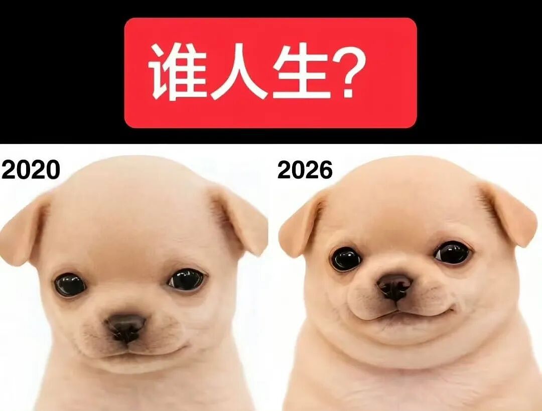 【爆笑】“公司发出倒闭通知后紧急撤回了…？”哈哈哈直接跑路吧还结什么工资！（组图） - 74