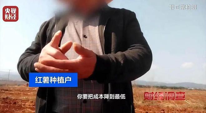 央视揭菜商使用含毒农药,村民:自己根本不吃这些蔬菜(组图) - 24