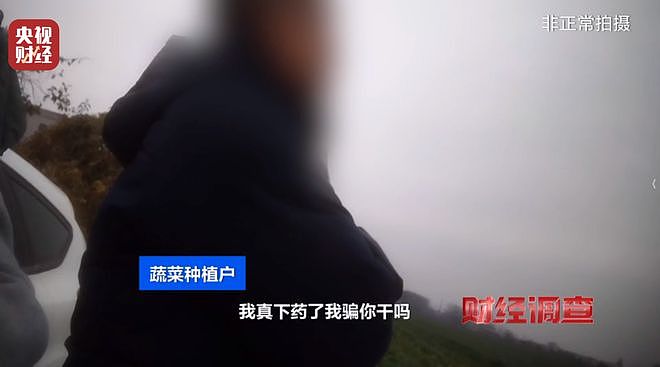 央视揭菜商使用含毒农药,村民:自己根本不吃这些蔬菜(组图) - 6