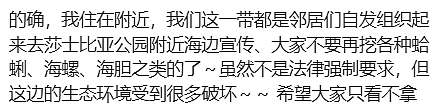 “华人被针对了!”新西兰爆发抗议,抵制“掠夺式赶海”,小红书“赶海贴”成证据(组图) - 42