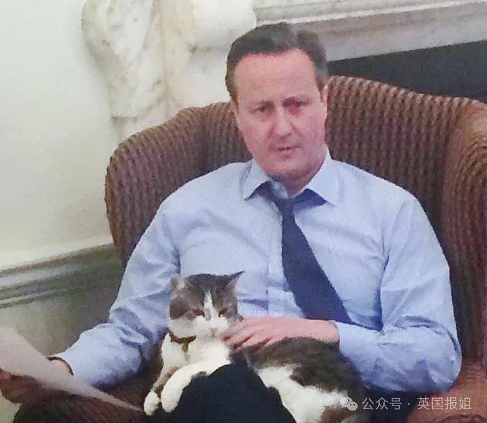 英首席捕鼠官19岁大寿!熬走5任首相称霸唐宁街,网友:该它竞选(组图) - 20