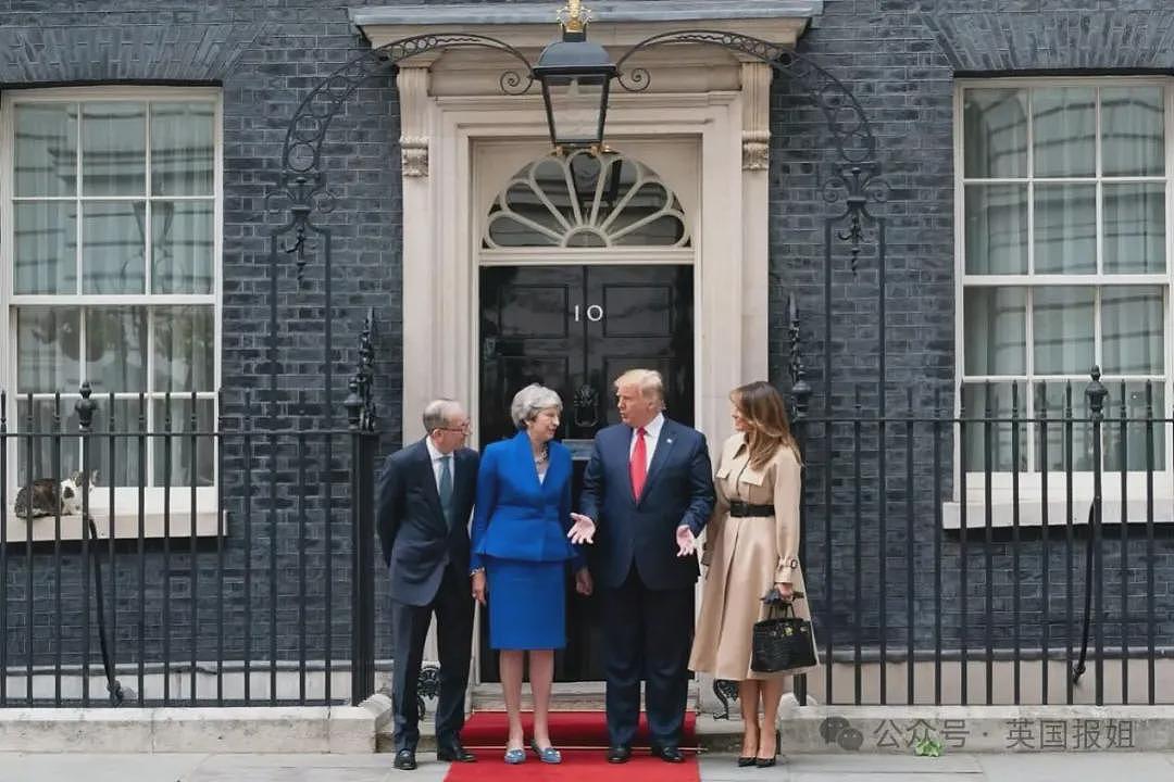 英首席捕鼠官19岁大寿!熬走5任首相称霸唐宁街,网友:该它竞选(组图) - 17