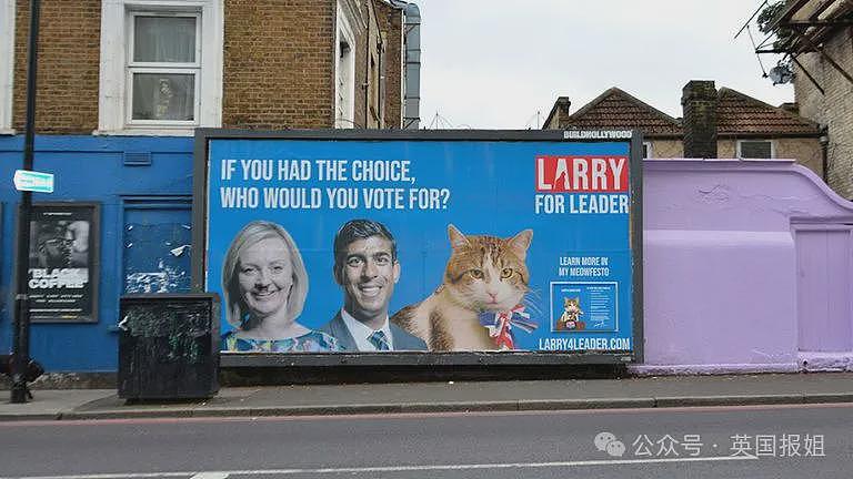 英首席捕鼠官19岁大寿!熬走5任首相称霸唐宁街,网友:该它竞选(组图) - 22