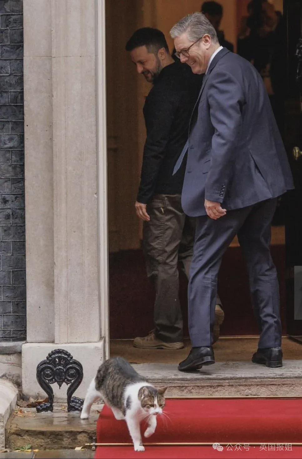 英首席捕鼠官19岁大寿!熬走5任首相称霸唐宁街,网友:该它竞选(组图) - 25