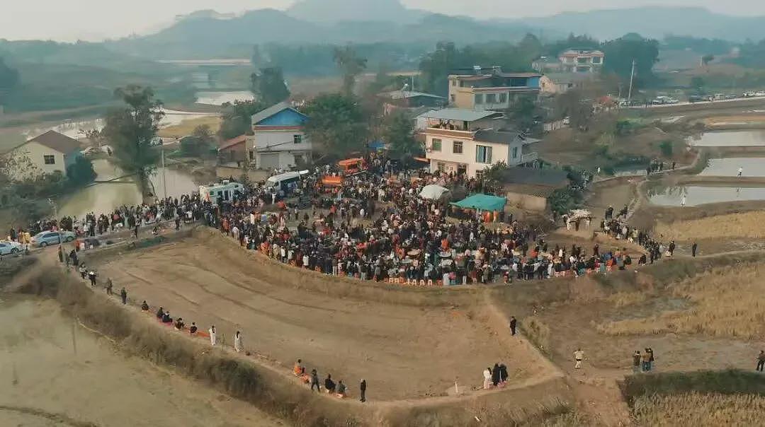 数千人到场，10万人围观，“杀年猪”凭啥让全网提前过年（组图） - 1