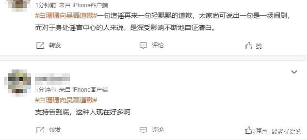 白珊珊回应:造谣吴磊只为引流,评论区愤怒:告到底!(组图) - 7