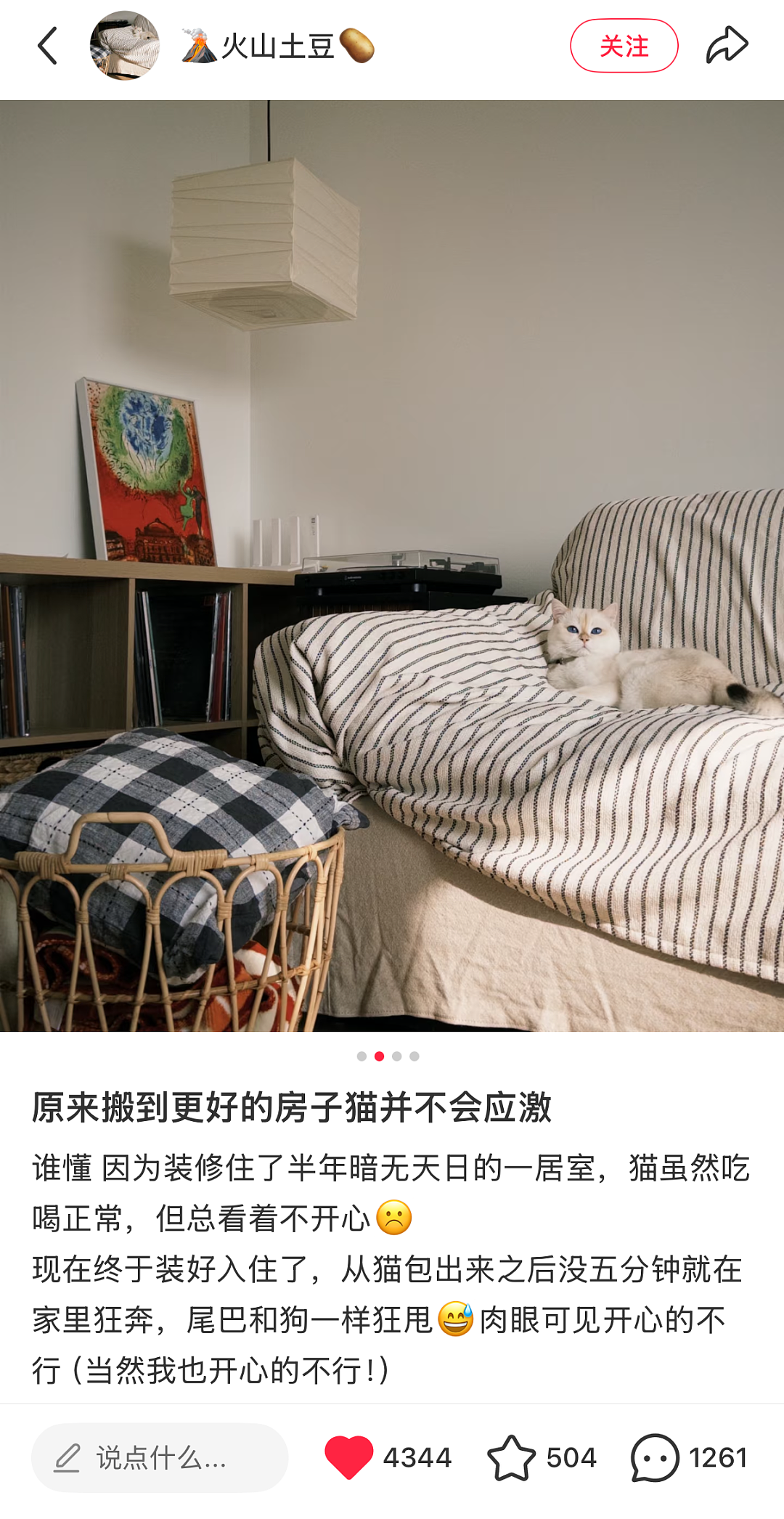 【宠物】小姐姐带猫搬去新家,猫不停叫叫叫,她刚想骂猫就看到这一幕想哭...网友:猫好,人笨(组图) - 5