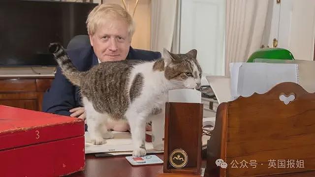英首席捕鼠官19岁大寿!熬走5任首相称霸唐宁街,网友:该它竞选(组图) - 18
