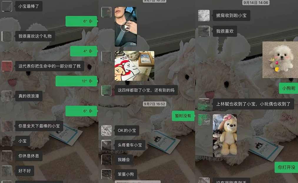 脱衣舞男装富二代男模全网找人谈恋爱,和女生聊天记录被扒太辣眼睛...(组图) - 10