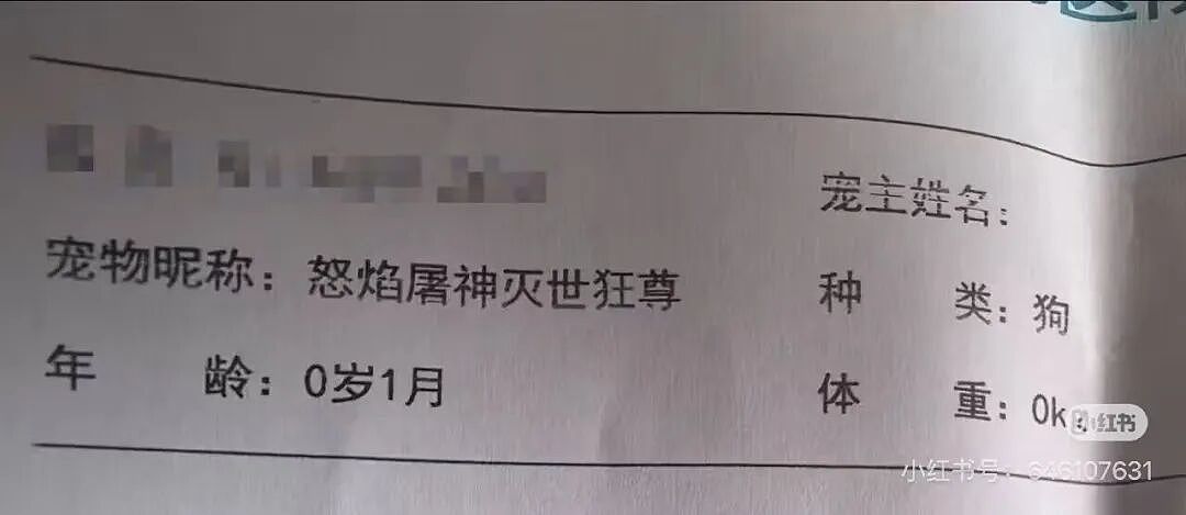 【爆笑】“时隔三年发现婚纱照主角不是我…？”哈哈哈这么小众的事情居然真实发生过！（组图） - 71