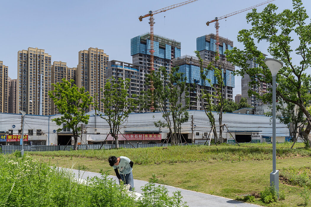 纽约时报：2025年中国GDP实现5%增长目标（组图） - 1