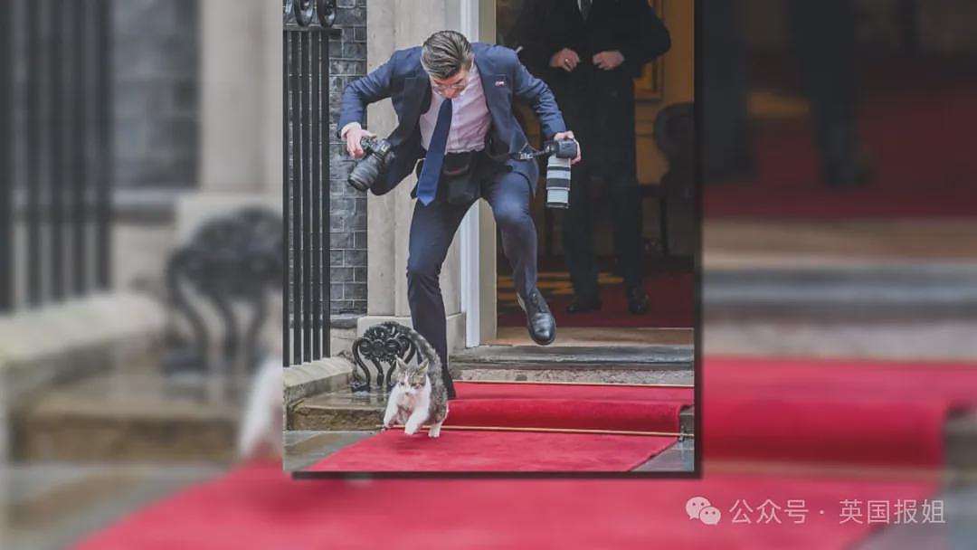 英首席捕鼠官19岁大寿!熬走5任首相称霸唐宁街,网友:该它竞选(组图) - 27
