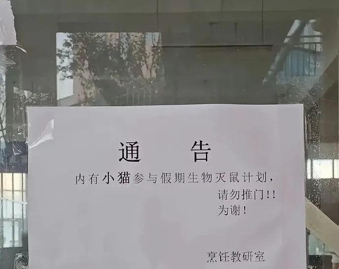 【爆笑】“网友改造车的程度能有多离谱？！”哈哈哈哈哈被网友评论笑尿！（组图） - 39