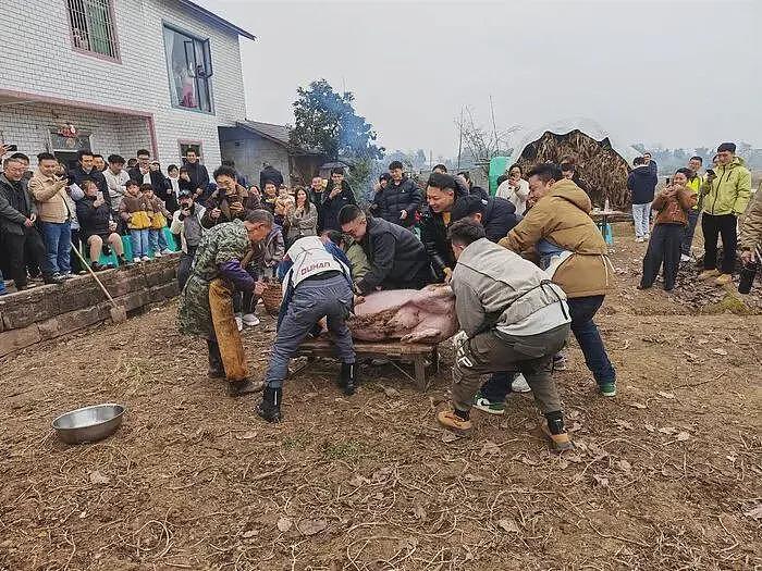 数千人到场，10万人围观，“杀年猪”凭啥让全网提前过年（组图） - 2