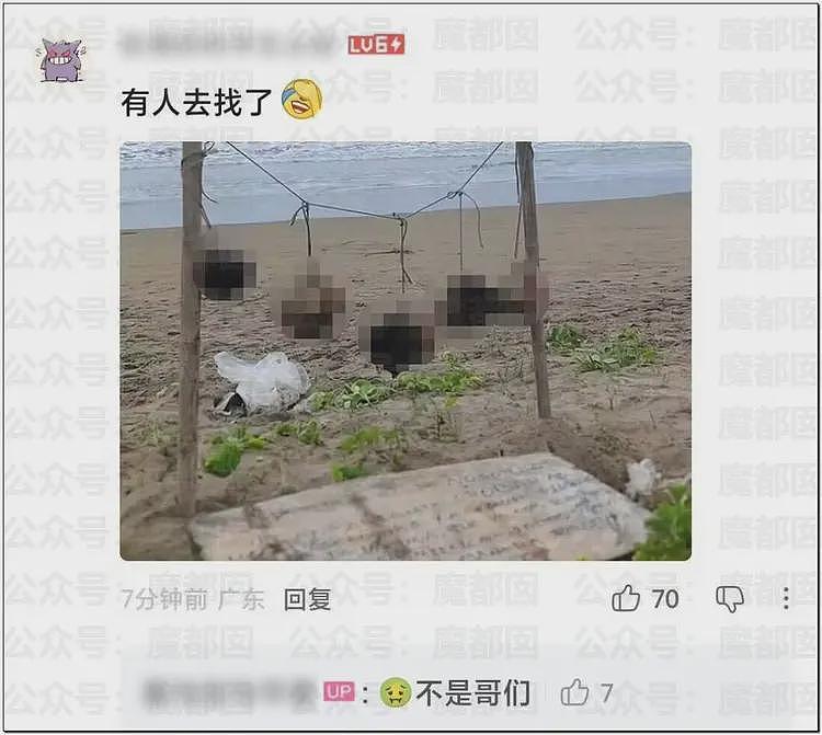 极致震撼!“牢A”揭露美国黑帮把人头做成“糖霜苹果”,悬挂示众(组图) - 18