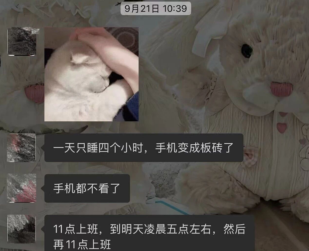 脱衣舞男装富二代男模全网找人谈恋爱,和女生聊天记录被扒太辣眼睛...(组图) - 19