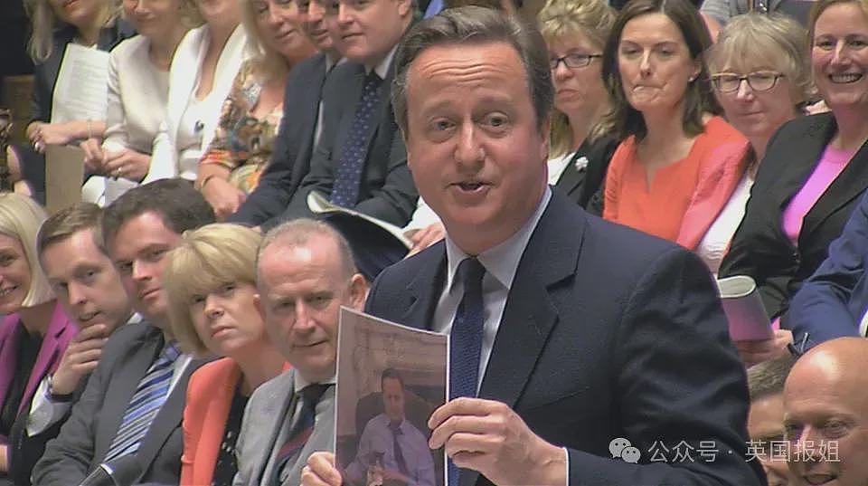 英首席捕鼠官19岁大寿!熬走5任首相称霸唐宁街,网友:该它竞选(组图) - 21