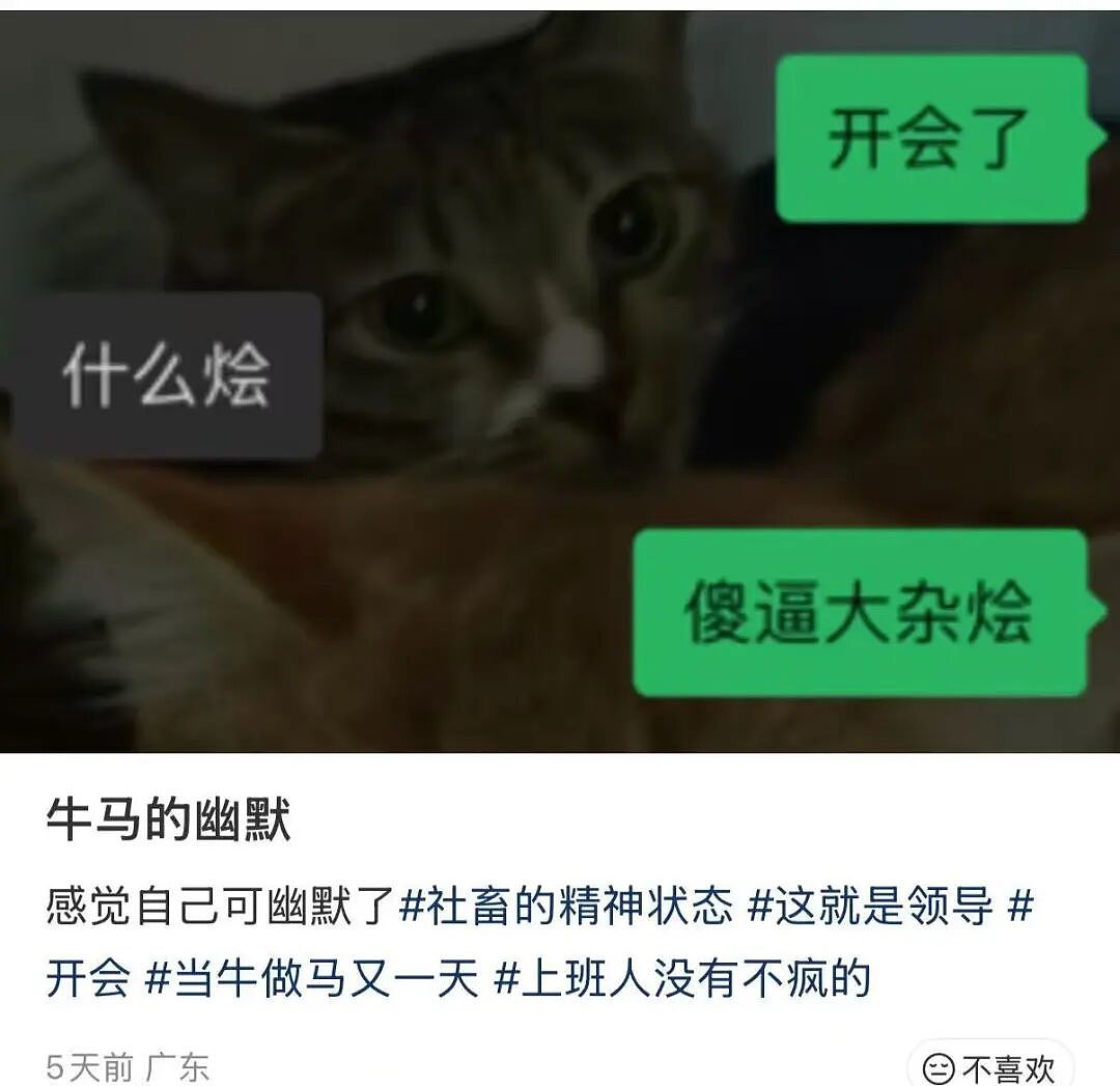 【爆笑】“时隔三年发现婚纱照主角不是我…？”哈哈哈这么小众的事情居然真实发生过！（组图） - 16