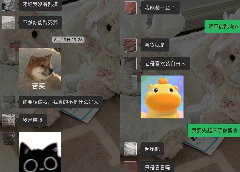 脱衣舞男装富二代男模全网找人谈恋爱,和女生聊天记录被扒太辣眼睛...(组图) - 6