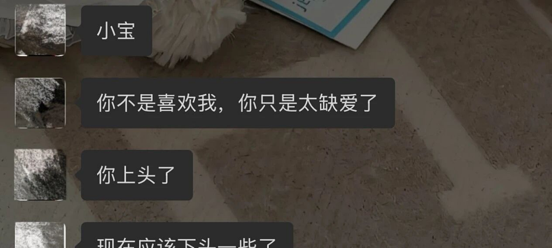 脱衣舞男装富二代男模全网找人谈恋爱,和女生聊天记录被扒太辣眼睛...(组图) - 11