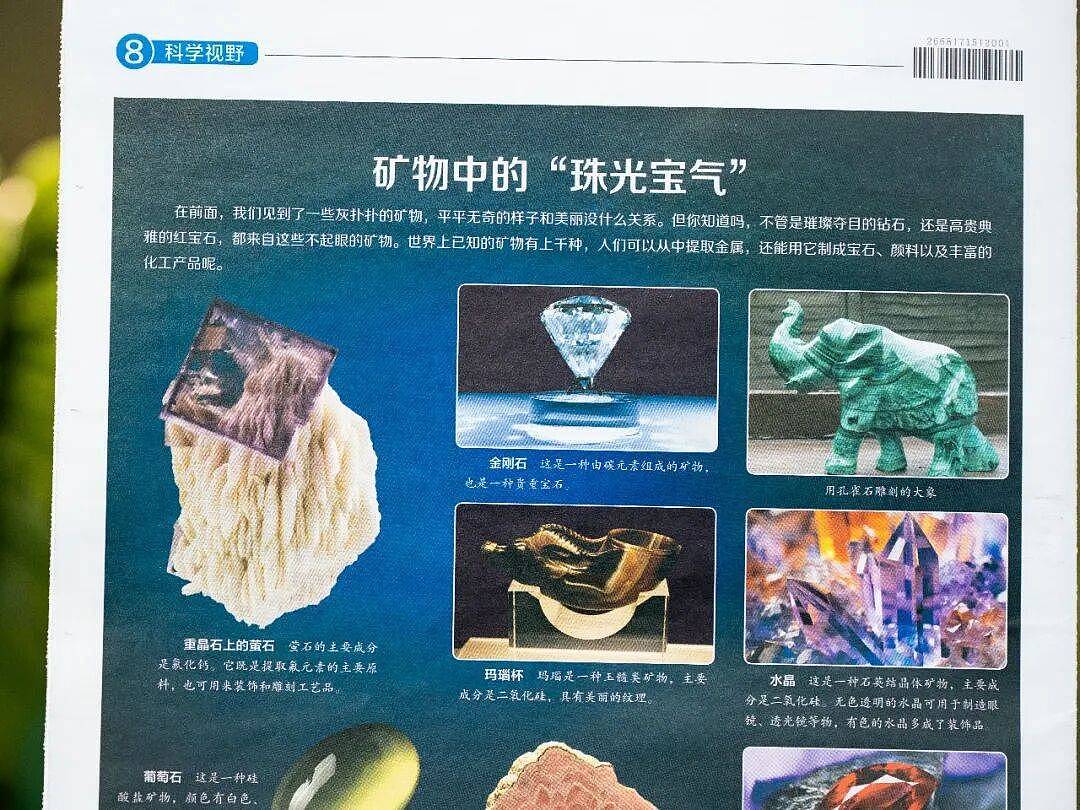 张柏芝18岁儿子考上剑桥？全网感叹：难怪“科普”那么重要（组图） - 40