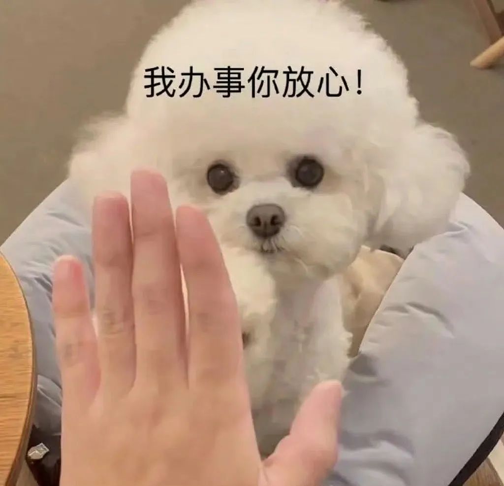 一大波中国企业扎堆新加坡上市，首日股价暴涨10%！东南亚资本正疯抢中资...（组图） - 11
