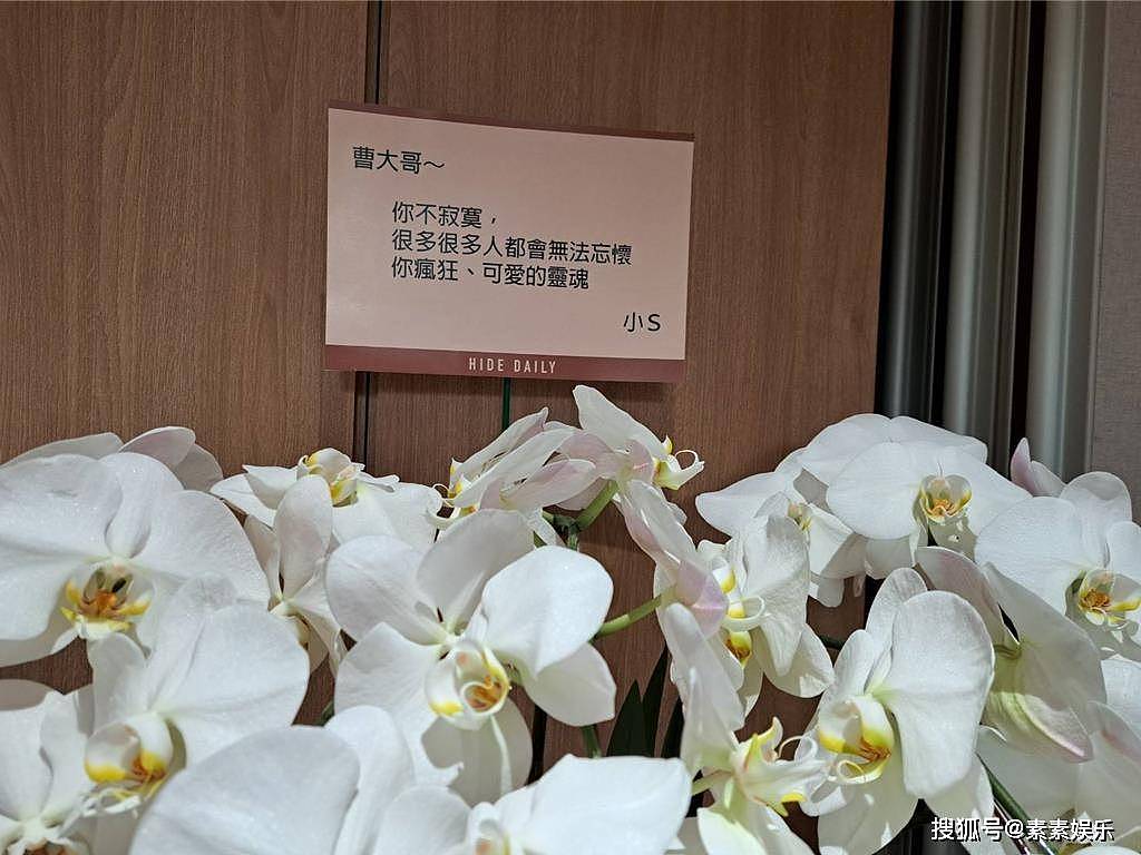曹西平遗产分配曝光!1800万房产给干儿子(组图) - 5