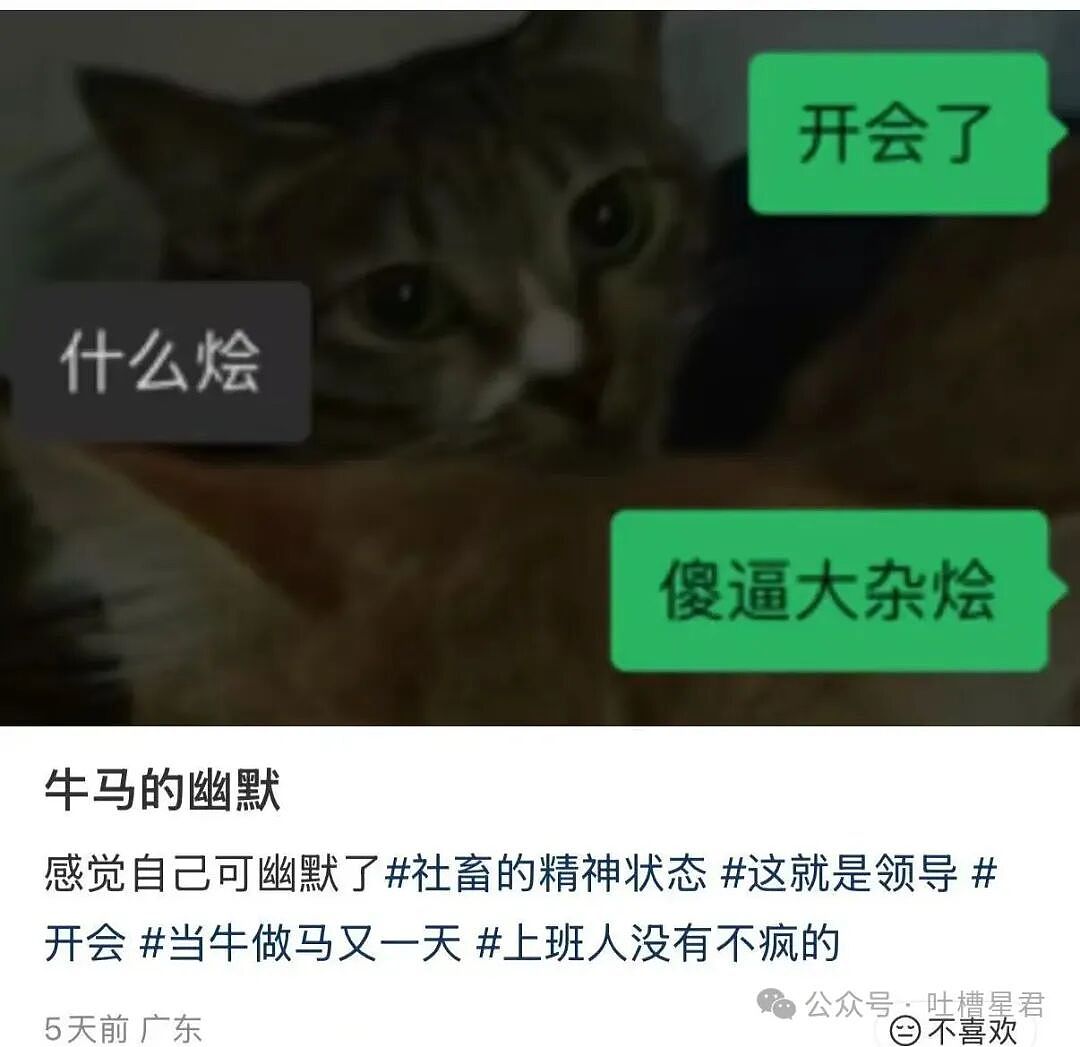 【爆笑】时隔三年发现婚纱照主角不是我…?哈哈哈这么小众的事情居然真实发生过(组图) - 12