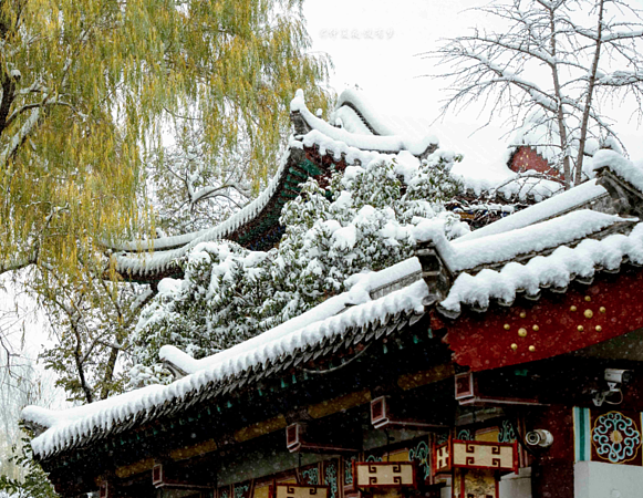 雪后济南云雾润蒸宛若仙境！游客赞叹：走进老舍笔下的水墨济南（组图） - 7
