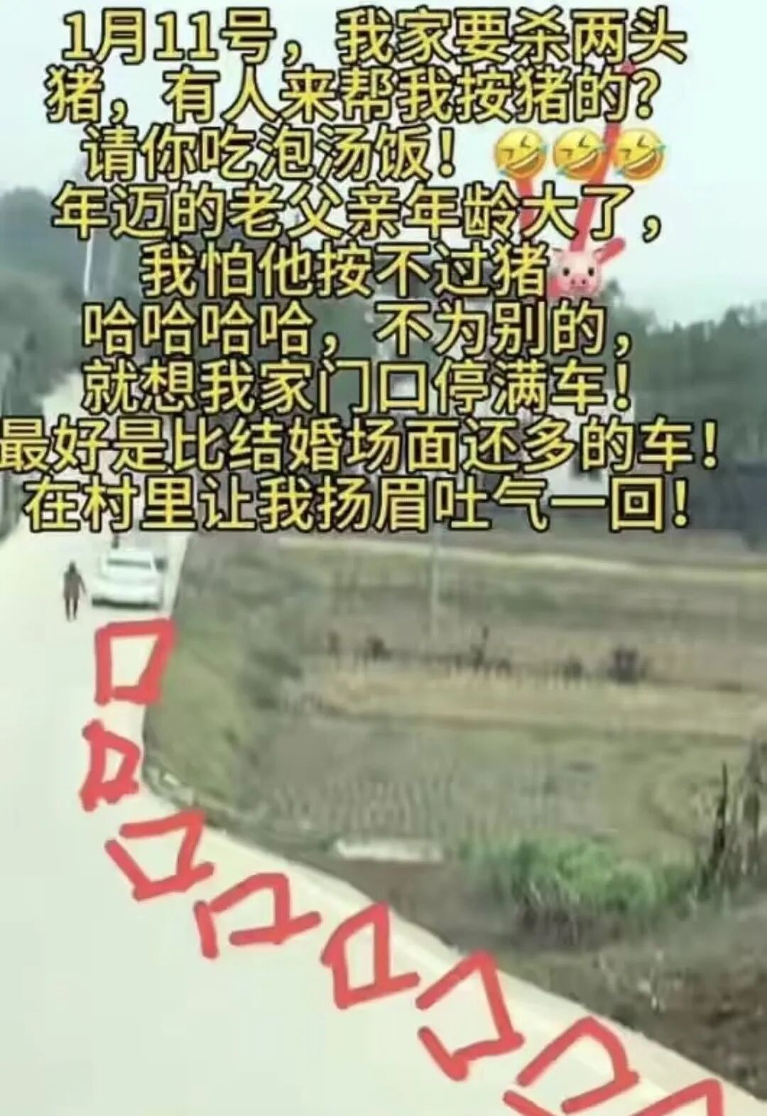 重庆杀猪宴女孩呆呆爆火经过梳理：农村美甲女孩3天400万收入的流量秘密（组图） - 2