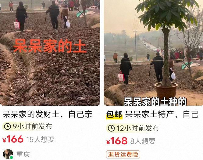 杀猪网红“呆呆”又遭炒作？家门口泥巴变“发财土”，50g叫价888元（组图） - 5