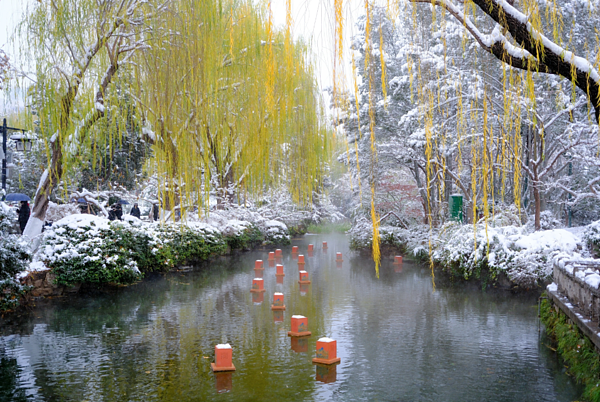 雪后济南云雾润蒸宛若仙境！游客赞叹：走进老舍笔下的水墨济南（组图） - 3