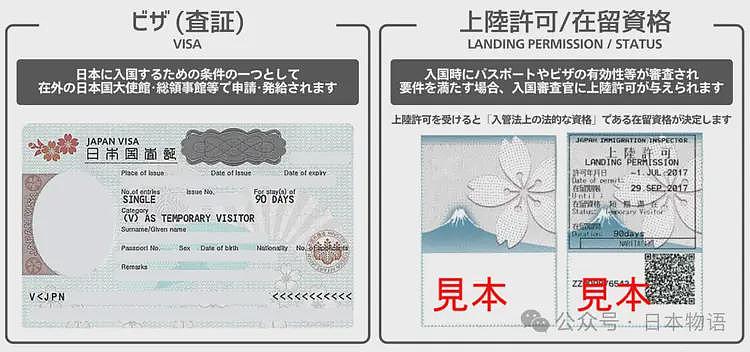大聪明回国前刷爆日本信用卡不还，前人砍树后人遭殃……（组图） - 4