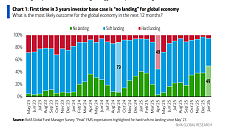极致贪婪时刻！美银基金经理调查：全球经济“不着陆”首次成共识，股票对冲策略几近崩溃（组图）