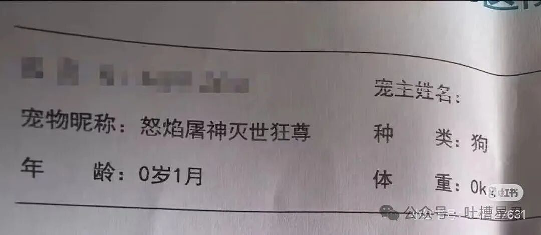 【爆笑】时隔三年发现婚纱照主角不是我…?哈哈哈这么小众的事情居然真实发生过(组图) - 48