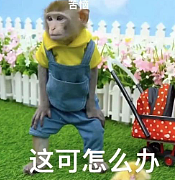 一大波中国企业扎堆新加坡上市，首日股价暴涨10%！东南亚资本正疯抢中资...（组图） - 7