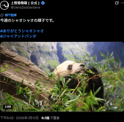 中国游客春节不去了，日本预估将损失1.79万亿！日元已跌至4.3，日本民众却还在嘴硬…（组图） - 15