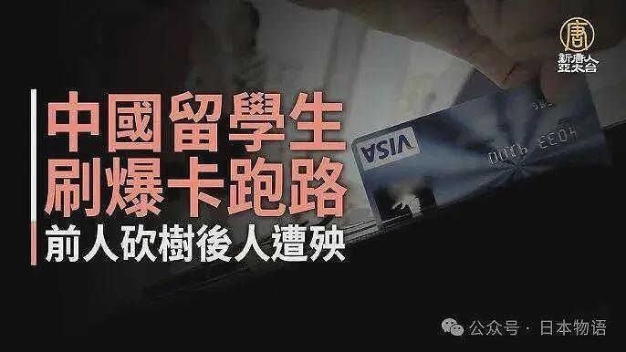 大聪明回国前刷爆日本信用卡不还，前人砍树后人遭殃……（组图） - 6