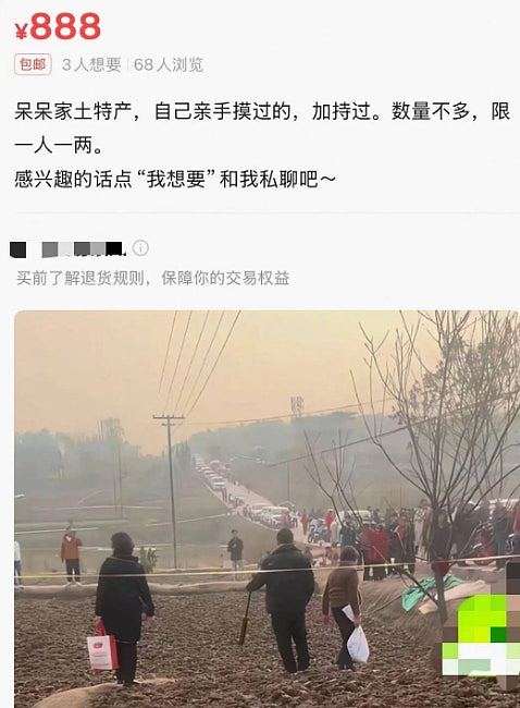 杀猪网红“呆呆”又遭炒作？家门口泥巴变“发财土”，50g叫价888元（组图） - 3
