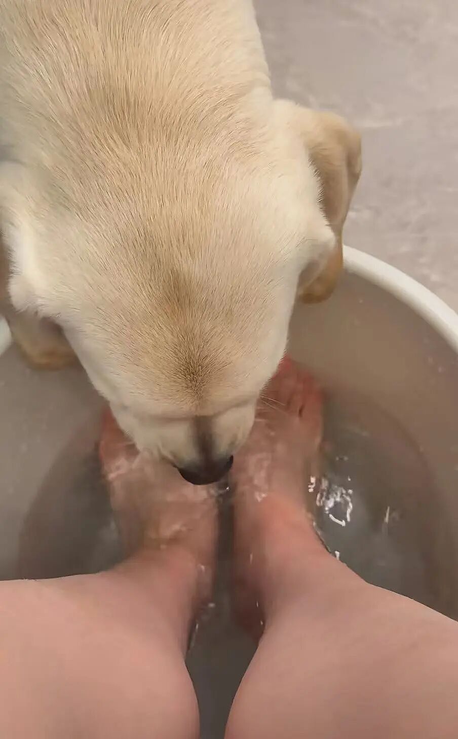 【爆笑】当我让男朋友穿女仆装给我看时…？哈哈哈嘴上拒绝身体却很诚实具像化了（组图） - 13