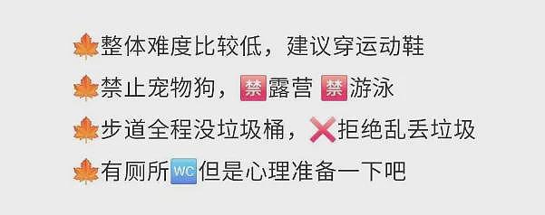 小红书新西兰热门景点,华人最爱的打卡地“崩了”,旱厕溢出屎尿!瓶装水基地就在旁边(组图) - 6