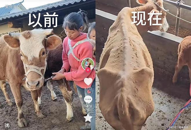 网红小英再曝猛料!上拉如出轨亲表妹,还曾被表妹家人霸占土地(组图) - 6