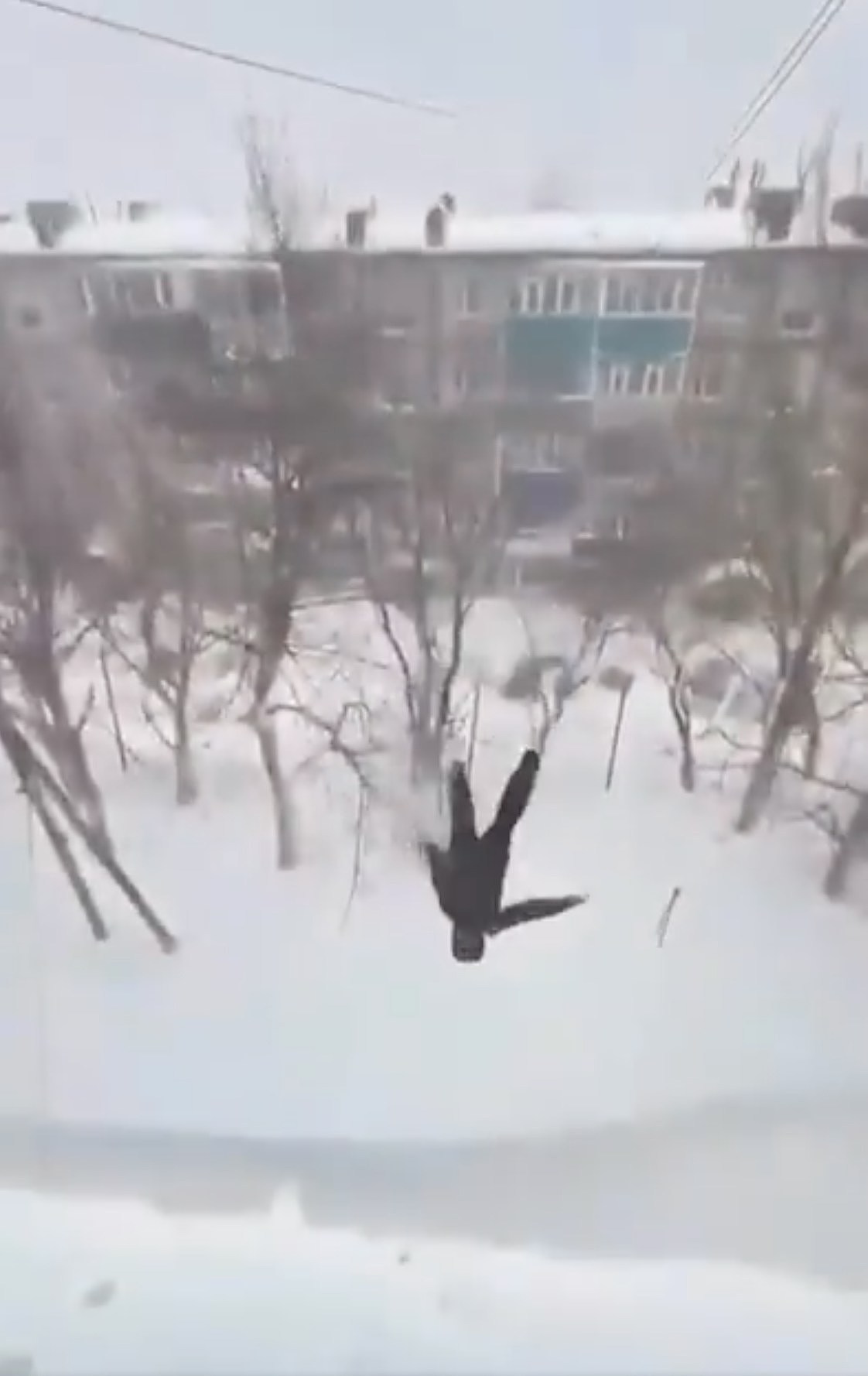 俄罗斯堪察加半岛罕见暴雪,民众疑跳楼出街却安然无恙(视频/组图) - 6