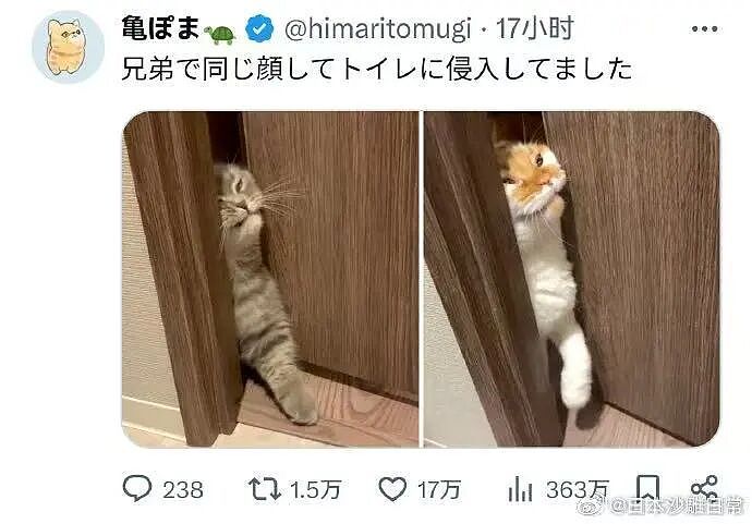 【爆笑】“02年的妹妹入职半个月后......“ 哈哈哈哈哈哈哈哈原谅我不厚道的笑了(组图) - 53