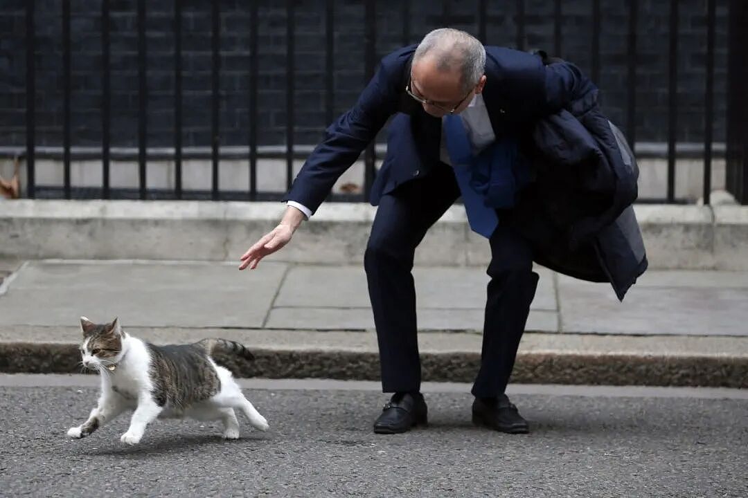 熬走五任首相，英国19岁首席捕鼠官又上热搜：咪的天，他好帅（组图） - 22