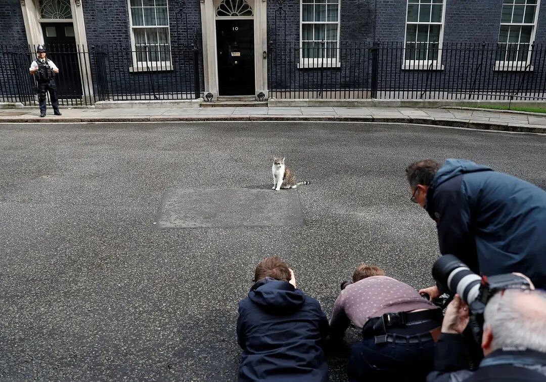 熬走五任首相，英国19岁首席捕鼠官又上热搜：咪的天，他好帅（组图） - 10