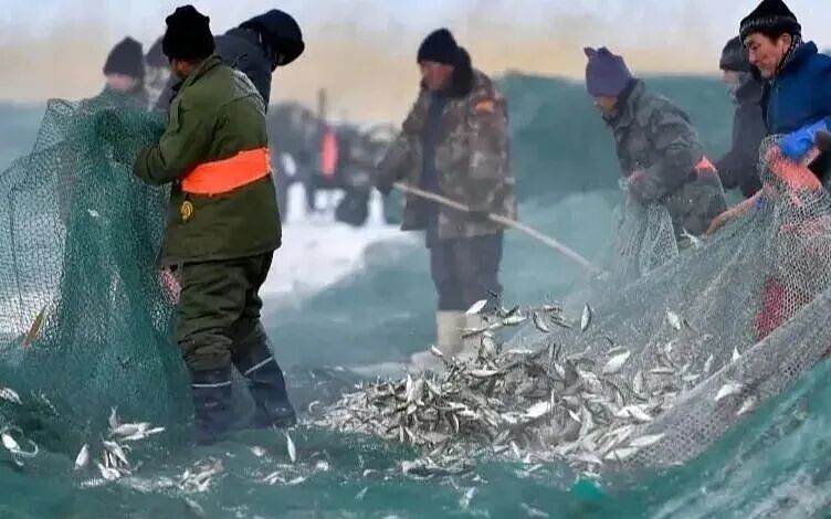 19.9元管饱的三文鱼，高端人设彻底崩了（组图） - 4