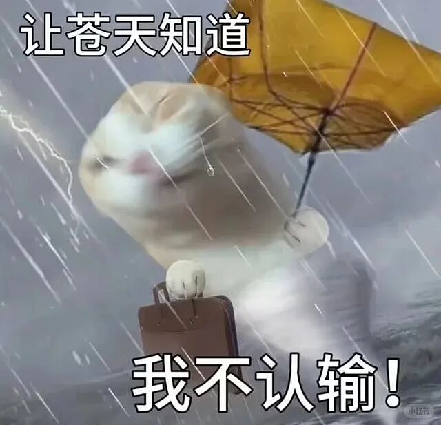 【爆笑】“为了钱人能不要脸面到什么地步？”哈哈哈哈哈哈网上没在乎的人吗！（组图） - 2