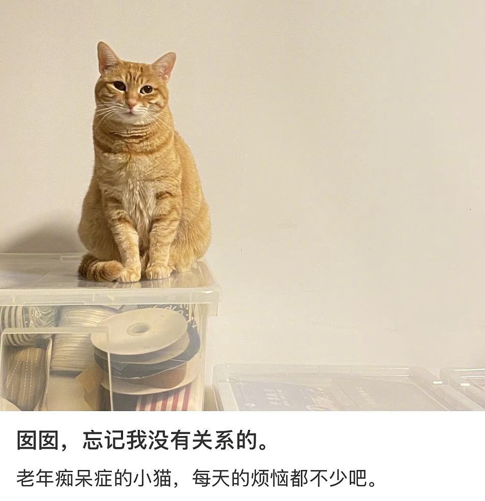 【爆笑】“为了钱人能不要脸面到什么地步？”哈哈哈哈哈哈网上没在乎的人吗！（组图） - 35